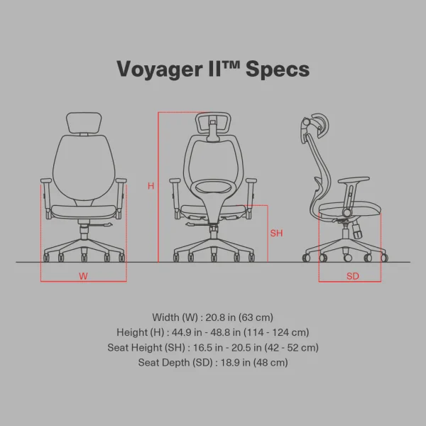 ⁦Wavebone | Voyager II⁩ – תמונה ⁦4⁩